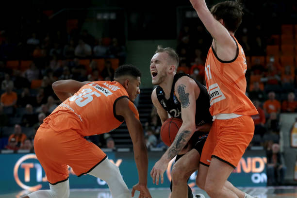 森林交织的 森林交织的