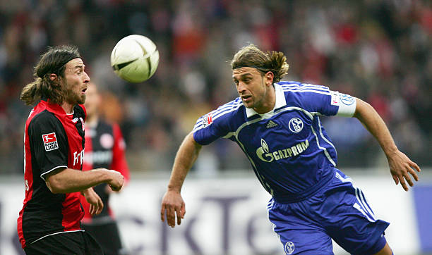 在去年的大 在去年的大